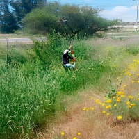 Proyecto Las Frutillas – Levantamiento Topográfico de Precisión