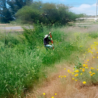 Proyecto Las Frutillas – Levantamiento Topográfico de Precisión